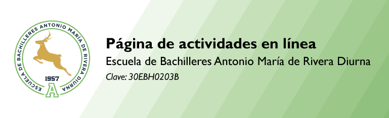 Banner Web
